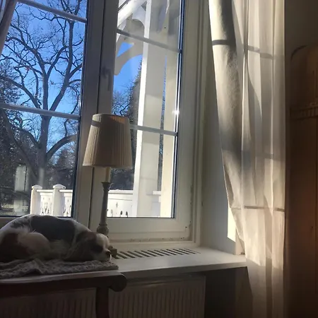 Dwor Role * Miastko
